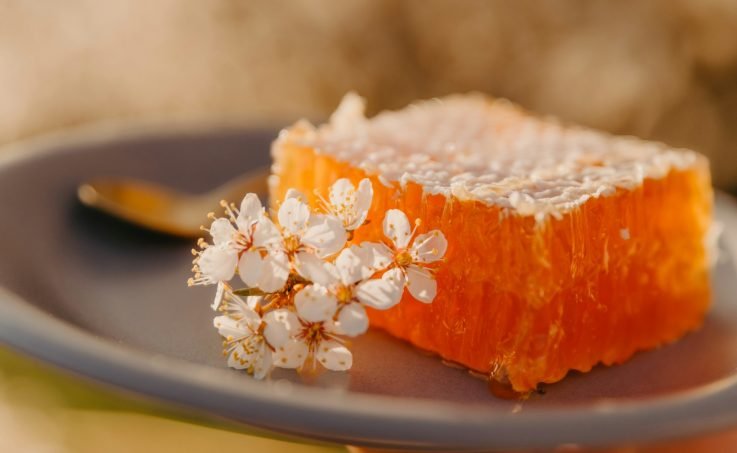 med u saću podstiče imunitet