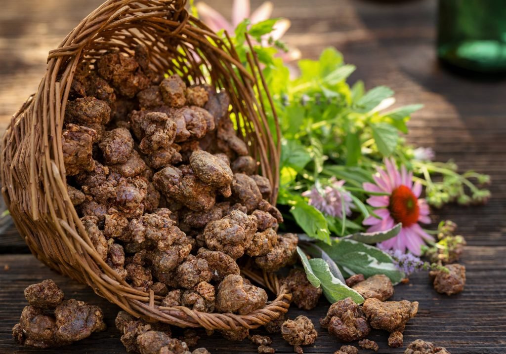 Propolis u korpici