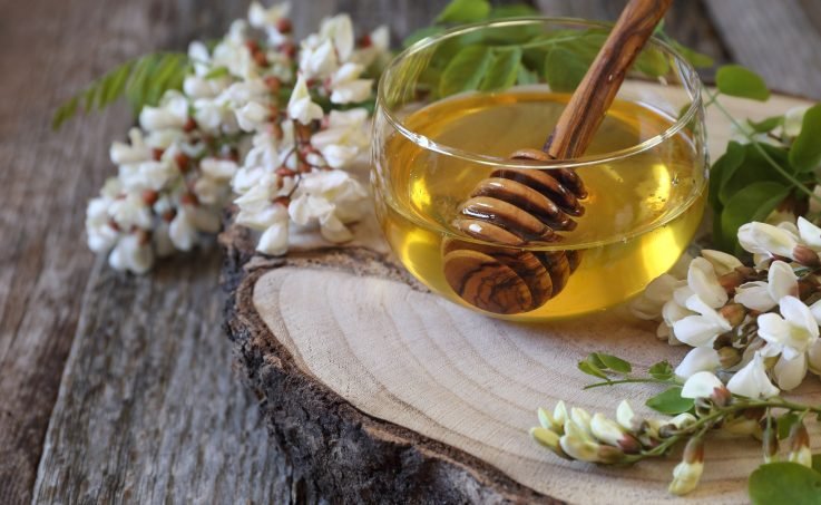 Bagremov med i bagremov cvet